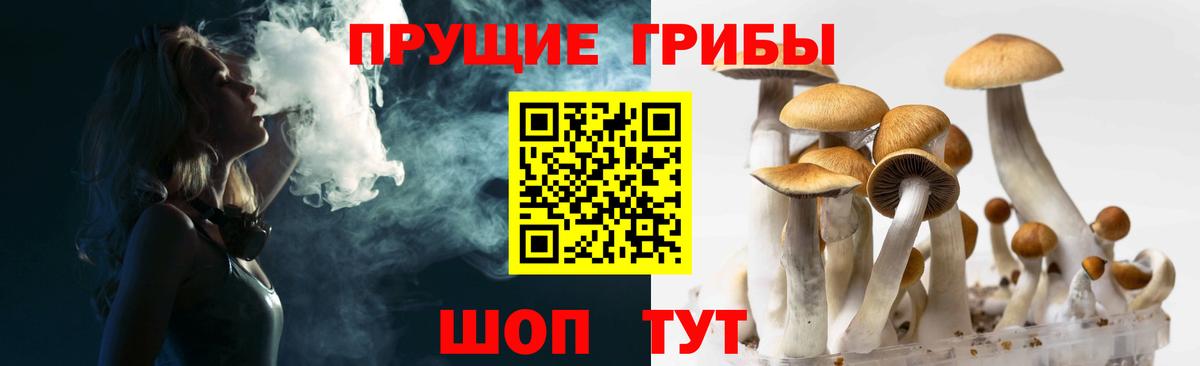 Осинники  Галлюциногенные грибы Psilocybine cubensis  Псилоцибиновые грибы мухоморы  Вход с VPN 